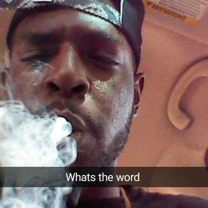 Meet your Posher, Bart